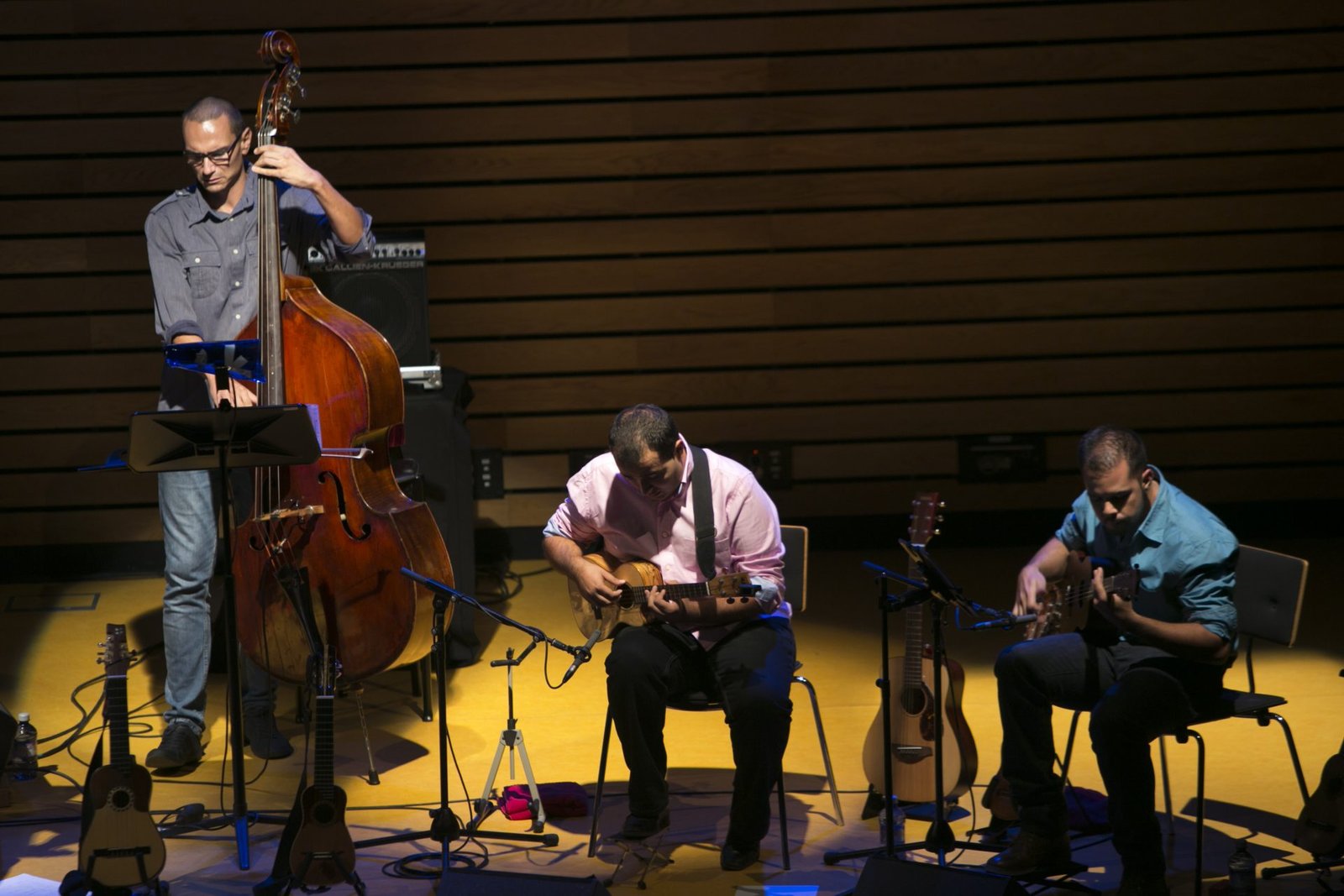 Beselch Rodríguez – Timplista