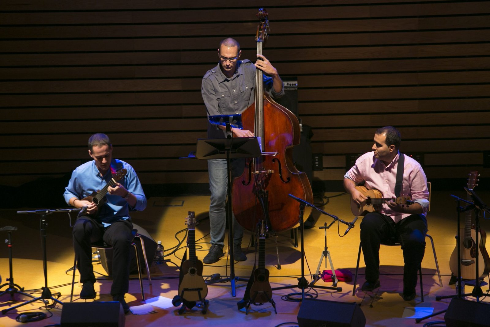 Beselch Rodríguez – Timplista