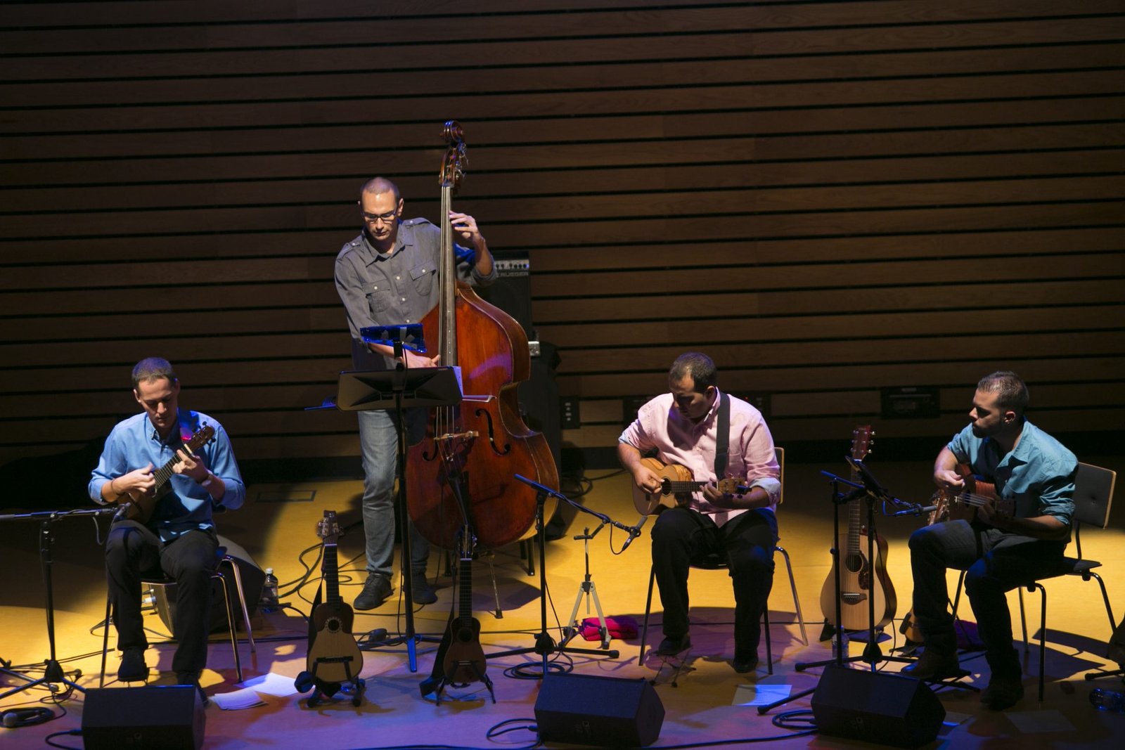 Beselch Rodríguez – Timplista