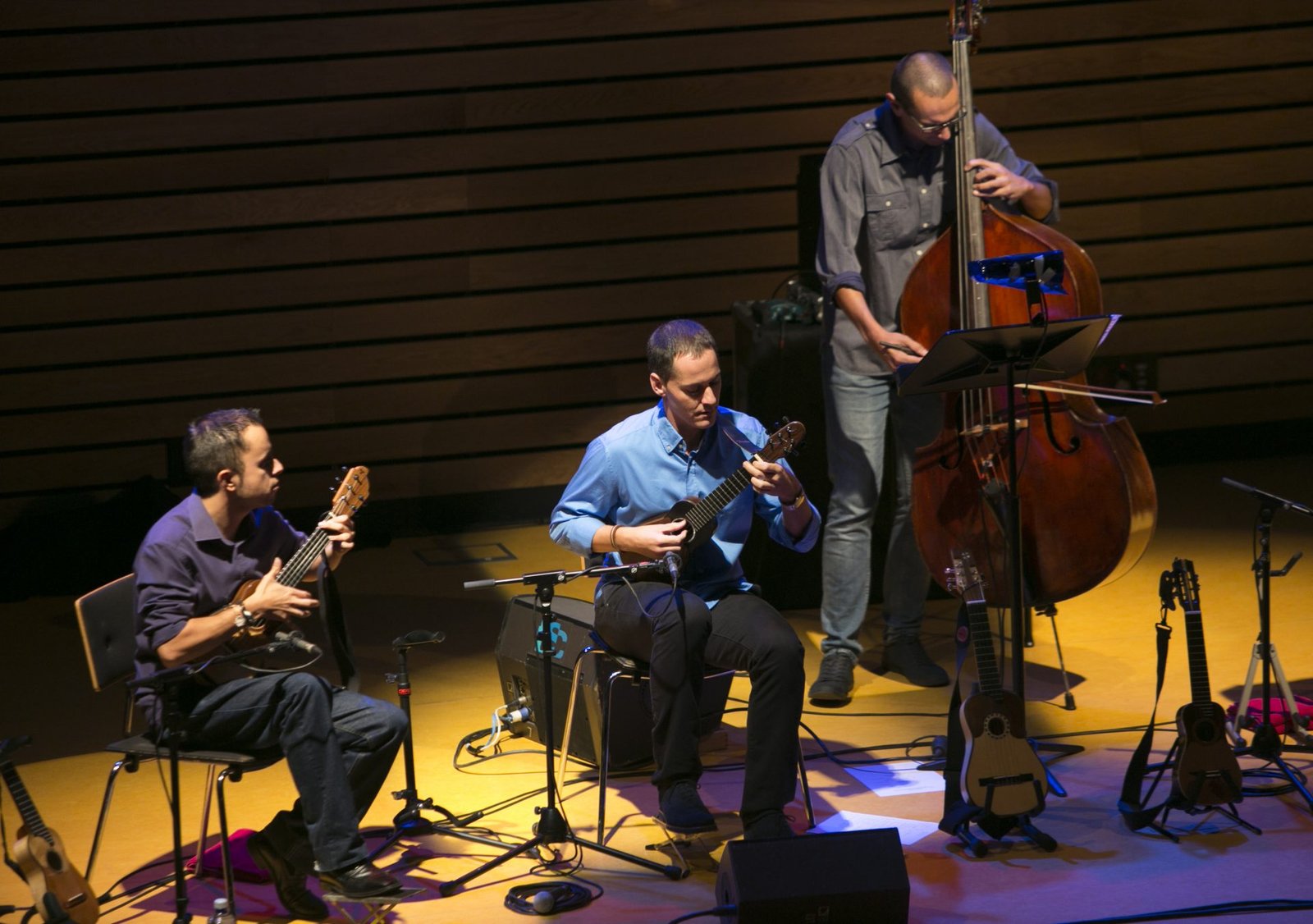 Beselch Rodríguez – Timplista