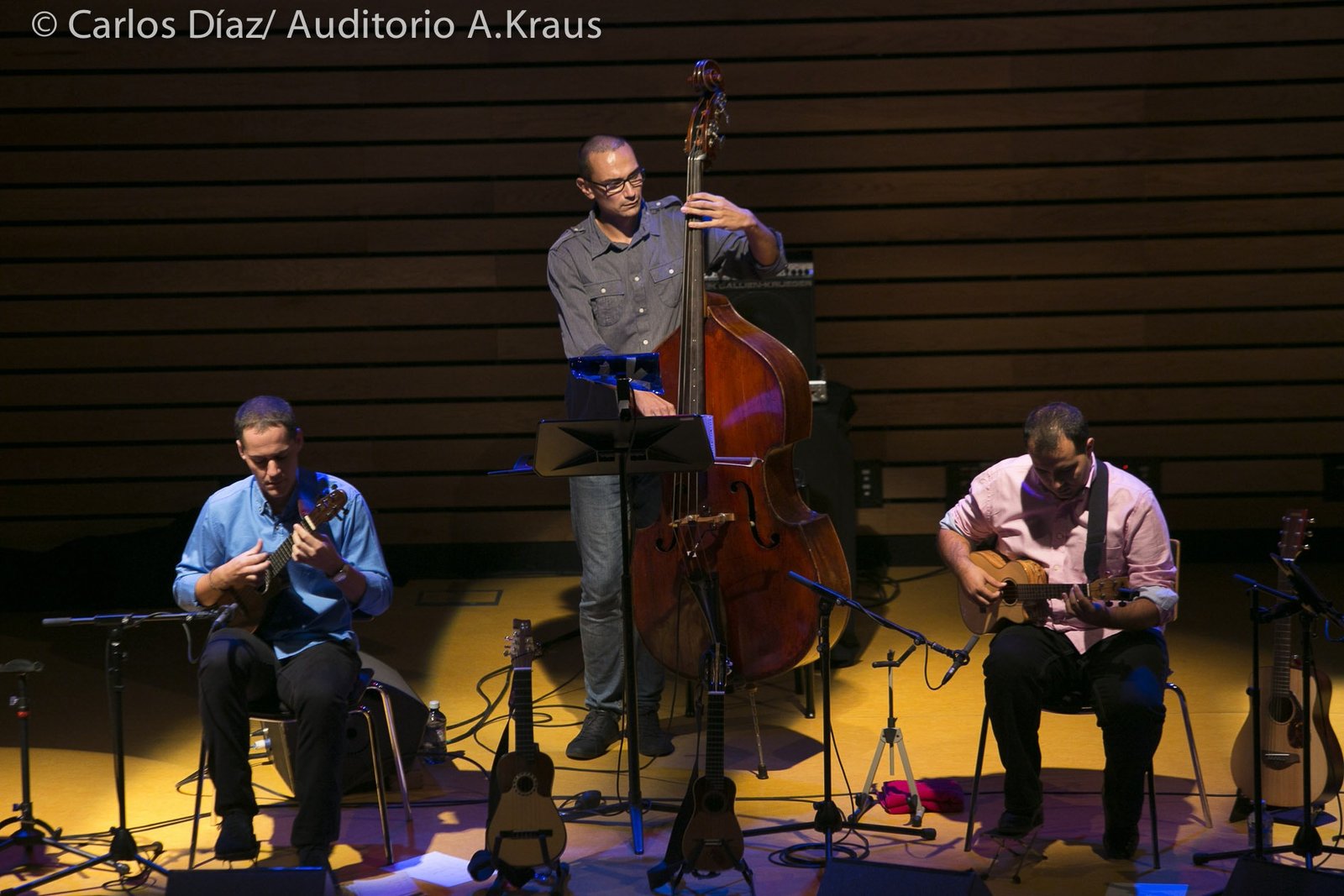 Beselch Rodríguez – Timplista